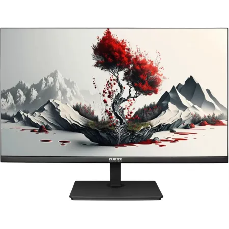 Монитор RDW Computers 23.8" RDW2401K черный IPS 6ms 16:9 HDMI матовая 1000:1 250cd 178гр/178гр 2560x1440 75Hz DP 4.2кг (RUS)