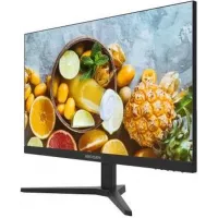 Монитор Hikvision 23.8" DS-D5024FN11 черный TFT LED 5ms 16:9 HDMI матовая 250cd 178гр/178гр 1920x1080 60Hz VGA FHD 2.634кг