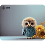 Коврик для мыши Cactus Owl gray 300x250x3мм (CS-MP-D12M)