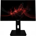 Монитор RDW Computers 23.8" RDW2423K черный IPS 5ms 16:9 HDMI матовая HAS Piv 1000:1 250cd 178гр/178гр 1920x1080 75Hz DP FHD 5.35кг (RUS)