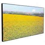 Панель Ikar 55" ПВ 55-117-300 (0.88 мм) черный IPS LED 8ms 16:9 DVI HDMI M/M матовая 1200:1 700cd 178гр/178гр 3840x2160 VGA DP UHD USB 40кг (RUS)