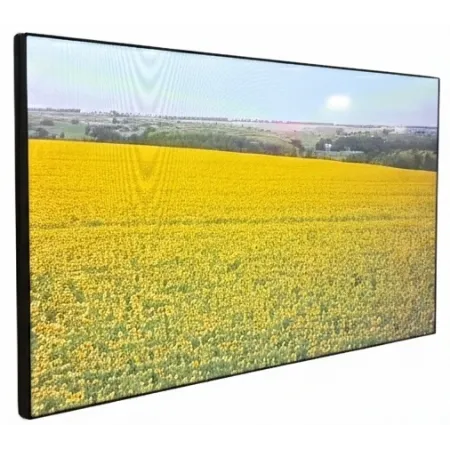Панель Ikar 55" ПВ 55-117-300 (0.88 мм) черный IPS LED 8ms 16:9 DVI HDMI M/M матовая 1200:1 700cd 178гр/178гр 3840x2160 VGA DP UHD USB 40кг (RUS)