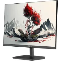 Монитор RDW Computers 23.8" 2401K черный IPS 4ms 16:9 HDMI M/M матовая HAS Piv 1000:1 250cd 178гр/178гр 1920x1080 100Hz VGA DP FHD 1.7кг (RUS)