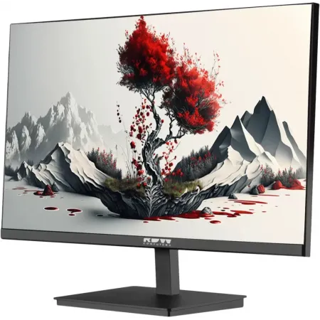 Монитор RDW Computers 23.8" 2401K черный IPS 4ms 16:9 HDMI M/M матовая HAS Piv 1000:1 250cd 178гр/178гр 1920x1080 100Hz VGA DP FHD 1.7кг (RUS)