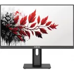 Монитор RDW Computers 27" RDW 2701K черный IPS 5ms 16:9 HDMI матовая HAS Piv 1000:1 178гр/178гр VGA DP USB 4.185кг (RUS)