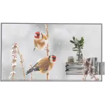 Панель LG 55" 55EW5P-M серебристый OLED LED 8ms 16:9 HDMI матовая 1100:1 600cd 178гр/178гр 1920x1080 DP FHD USB 14.1кг