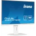 Монитор Iiyama 27" ProLite XUB2797QSN-W2 белый IPS LED 1ms 16:9 HDMI M/M матовая HAS Piv 1300:1 300cd 178гр/178гр 2560x1440 100Hz DP Quad HD 2K (1440p) USB 6.1кг