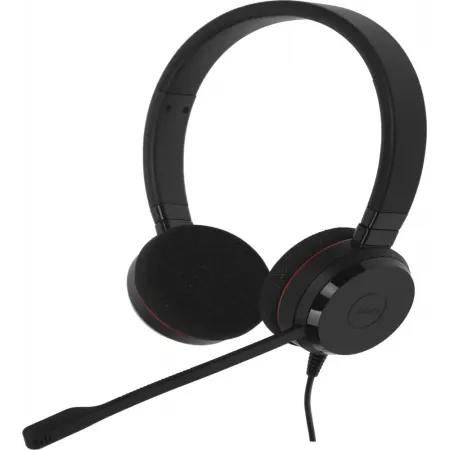 Наушники с микрофоном Jabra Evolve 20 черный накладные USB оголовье (4999-823-169)