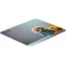 Коврик для мыши Cactus Owl gray рисунок 300x250x3мм (CS-MPC-D12M)