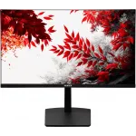 Монитор RDW Computers 31.5" RDW3207 черный IPS 1ms 16:9 HDMI M/M полуматовая HAS Piv 1000:1 350cd 178гр/178гр 2560x1440 100Hz G-Sync FreeSync VGA DP QHD USB (RUS)