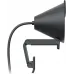 Камера Web Logitech HD Webcam Brio 300 графитовый 2Mpix (1920x1080) USB Type-C с микрофоном (960-001437)