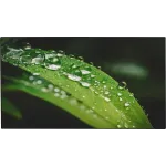 Монитор Dahua 65" DHI-LS650KCM-UF черный LED 16:9 HDMI матовая 1200:1 500cd 178гр/178гр 3840x2160 DP 4K 40кг