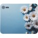 Коврик для мыши Cactus Daisies рисунок 250x200x3мм (CS-MPC-D07S) Коврик для мыши Cactus Daisies рисунок 250x200x3мм (CS-MPC-D07S)