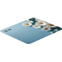Коврик для мыши Cactus Daisies рисунок 250x200x3мм (CS-MPC-D07S) Коврик для мыши Cactus Daisies рисунок 250x200x3мм (CS-MPC-D07S)