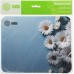 Коврик для мыши Cactus Daisies рисунок 250x200x3мм (CS-MPC-D07S) Коврик для мыши Cactus Daisies рисунок 250x200x3мм (CS-MPC-D07S)