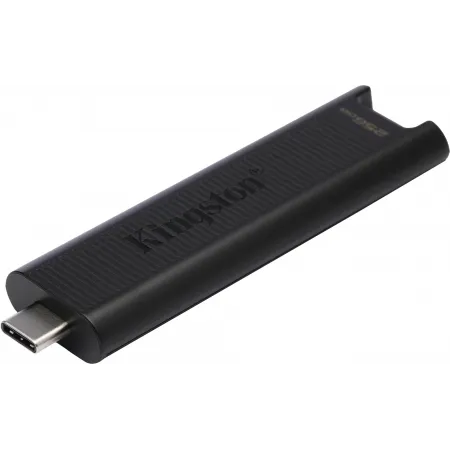Флеш Диск Kingston 256Gb DataTraveler Type-C Max DTMAX/256GB USB3.2 черный