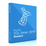 ПО Microsoft SQL Svr Standard Edtn 2019 English DVD 10 Clt (228-11548)