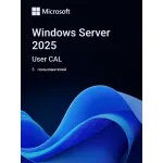 ПО Microsoft Windows Server CAL 2025 English 1pk DSP OEI 5 Clt User CAL (EP2-25279)