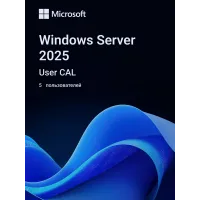 ПО Microsoft Windows Server CAL 2025 English 1pk DSP OEI 5 Clt User CAL (EP2-25279)