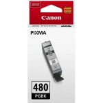 Картридж струйный Canon PGI-480 PGBK 2077C001 черный (11.2мл) для Canon Pixma TS6140/TS8140TS/TS9140/TR7540/TR8540