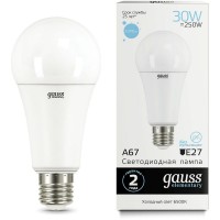 Лампа светодиодная Gauss Elementary A67 30Вт цок.:E27 груша 220B 6500K св.свеч.бел.хол. (упак.:1шт) (73239) Лампа светодиодная Gauss Elementary A67 30Вт цок.:E27 груша 220B 6500K св.свеч.бел.хол. (упак.:1шт) (73239)