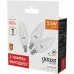 Лампа светодиодная Gauss Basic 1033116T 5.5Вт цок.:E14 свеча 240B 3000K св.свеч.бел.теп. (упак.:3шт)