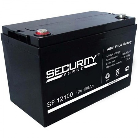 Аккумулятор Security Force SF 12100