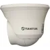 Камера видеонаблюдения IP Tantos TSi-Beco25FP 2.8-2.8мм цв. корп.:белый/черный (00-00122954) Камера видеонаблюдения IP Tantos TSi-Beco25FP 2.8-2.8мм цв. корп.:белый/черный (00-00122954)