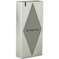 Считыватель карт Tantos TS-RDR-MF (00-00080683) уличный антивандальный
