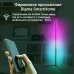 Умный светильник Digma FloorLight FL11 напол. черный (FL11)