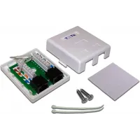 Розетка Lanmaster TWT-SM2-4545/6-WH настен.RJ45 2 кат.6 UTP бел. (упак.:1шт)