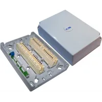 Коробка Lanmaster TWT-DB10-2P-DIS (упак.:1шт)