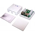 Розетка Lanmaster TWT-SM2-4545/S-WH информ. KeystoneRJ45 2 кат.5E STP бел.