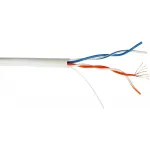 Кабель информационный Lanmaster TWT-5EUTP2PT-WH кат.5E U/UTP 2 парыX24AWG PVC внутренний 305м белый
