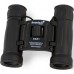 Бинокль Levenhuk 8-8x 21мм Atom 8x21 черный (67675)