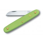 Нож перочинный Victorinox EcoLine Floral (3.9050.47B1) 100мм 1функц. салатовый блистер
