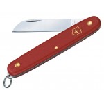 Нож перочинный Victorinox EcoLine Floral (3.9051) 100мм без упаковки
