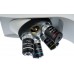 Микроскоп Levenhuk MED 45T тринокуляр 401000x на 5 объективов Микроскоп Levenhuk MED 45T тринокуляр 401000x на 5 объективов