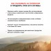Термос для напитков Starwind 10-500 0.5л. серебристый/красный картонная коробка
