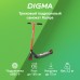 Самокат Digma Rampa трюковый 2-кол. красный/черный (ST-RA-100)