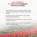 Термос Starwind 21-1000/1 1л.