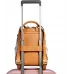 Рюкзак женский Piquadro Ashley CA6454W134/AR охра/бежевый кожа