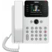 Телефон IP Fanvil V62G белый (V62G WHITE)
