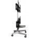 Подставка для телевизора Arm Media PT-STAND-16 серебристый 26"-55" макс.120кг напольный фиксированный