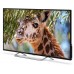Телевизор LED PolarLine 50" 50PU11TC-SM черный 4K Ultra HD 50Hz DVB-T DVB-T2 DVB-C WiFi Smart TV (RUS)