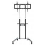 Стойка для телевизора Cactus CS-ST04H черный 37"-70" макс.45кг напольный мобильный
