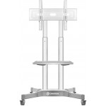 Стойка для телевизора Onkron TS1351 белый 32"-65" макс.50кг напольный мобильный