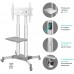 Стойка для телевизора Onkron TS1351 белый 32"-65" макс.50кг напольный мобильный