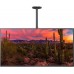 Кронштейн для телевизора Cactus CS-CP04-R черный 37"-70" макс.81.6кг потолочный поворот и наклон
