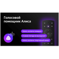 Телевизор LED BBK 24" 24LEX-7287/TS2C Яндекс.ТВ черный HD 50Hz DVB-T2 DVB-C DVB-S2 WiFi Smart TV (RUS)